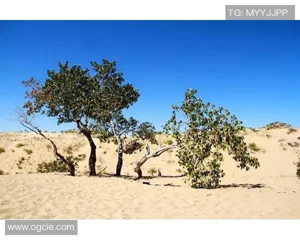 足球明星穿破鞋的真实瞬间竟引发热议背后故事令人感动 足球明星穿破鞋的真实瞬间竟引发热议背后故事令人感动