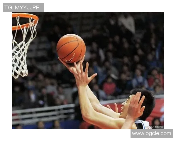 篮球明星辨识技巧与方法分享助你成为篮球知识达人